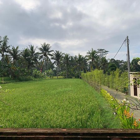 Adi Laxmi Villa Ubud Dış mekan fotoğraf