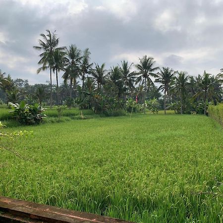 Adi Laxmi Villa Ubud Dış mekan fotoğraf