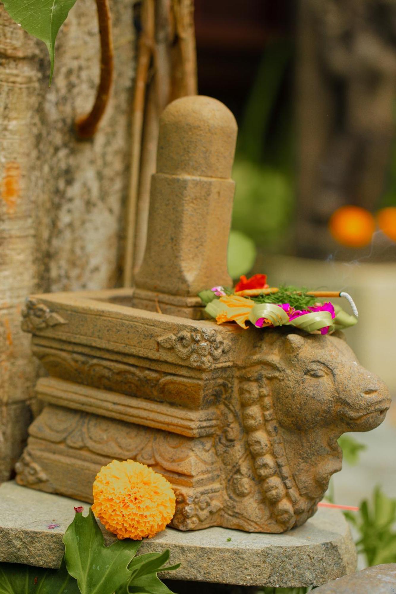 Adi Laxmi Villa Ubud Dış mekan fotoğraf