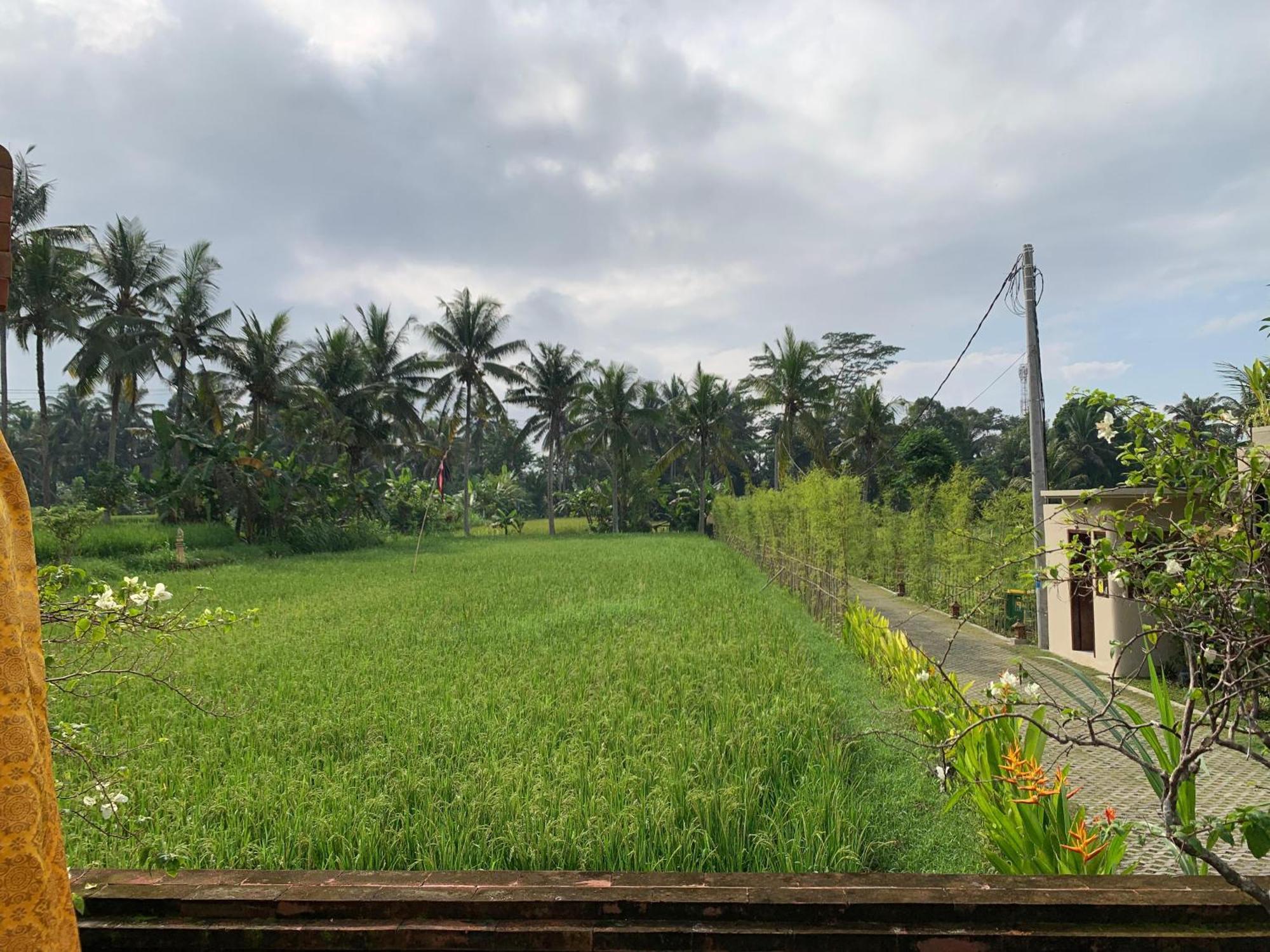 Adi Laxmi Villa Ubud Dış mekan fotoğraf
